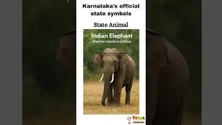Karnataka Official State Symbols | Focus Channel | #shorts #karnataka #symbols #knowledge #info