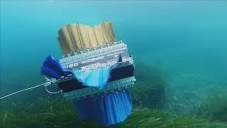 İsviçreli öğrencilerden yüzen robot - hi-tech