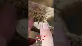 תכשיט שאת יוצרת &mdash; נשאר בלב לנצח🌿053-4299697#חוויתיצירה #צורפותבטבעון #תכשיטבעבודתיד