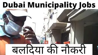 Dubai Municipality Jobs ||  बलदिया की नौकरी @Anil Sachin