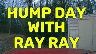 Hump day with ray ray #451