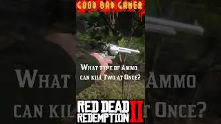 RDR2 Ammo Hacks You Never Knew Existed