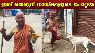 The astonishing story of Sarada who takes care of stray dogs | Nedumangad, Kerala