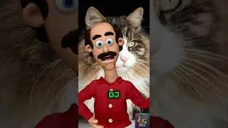 Max Mustache: My Cat&rsquo;s 3 AM Rave Keeps Me Up&mdash;Send Help!