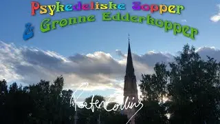 Poeten Collins - &Aring;ret er 2020 (encore)