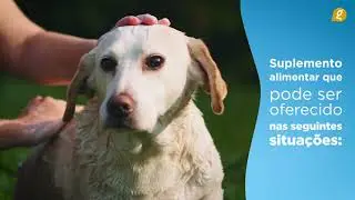 CONDRIX DOG TABS