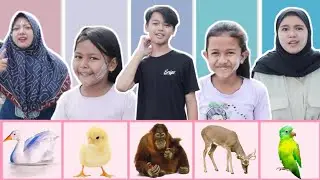 TEBAK SUARA HEWAN | Revina and Family