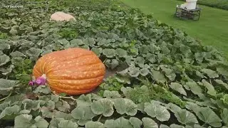 Finding the biggest pumpkins in Geauga County: Welcoming fall in Northeast Ohio