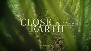 Close to the Earth - Connect with Yourselves - Grounding Shaman Drum Journey [174 Hz]