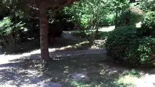 Walking Tour of Old New Castle, Delaware