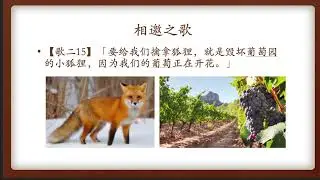王振宇传道讲道：雅歌