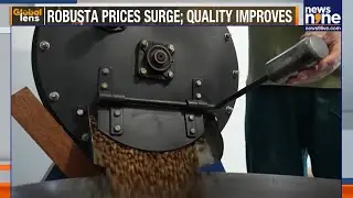 Brazil&rsquo;s New Coffee Revolution: Robusta Rises as Climate Change Hits Arabica | News9