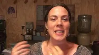 Dog Trainer Pro Tips | Surviving in a saturated market