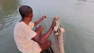 How to catch fish from the river with a net | Asian Fish Market