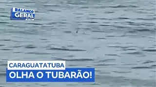 Banhistas se assustam com suposta aparição de tubarão em praia do litoral norte de SP