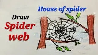 Spider web drawing easy for kids, Spider house drawing,how to draw spider , Animal house drawing