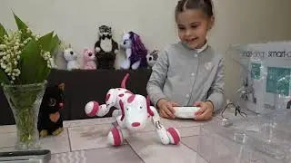 Smart dog. Интерактивная собака РОБОТ.