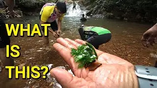 Look what we found at a waterfall | Monsoon bicycle rides | Goa