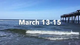 Northeast florida Surf fishing forecast