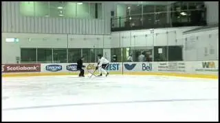 Welcome to Shawn Allard Perfect Skating