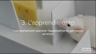 3. L'apprendimento per prove ed errori