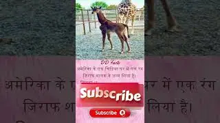 DD FACT 20 #facts #factshorts #hindi #knowledge #knowledgefacts