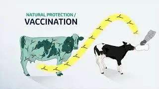 Colostrum Management Video