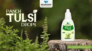 Boost Your Immunity with WealthVital Panch Tulsi Drops!