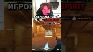 twitch: zweih1221 ЭЙС ОТ НОВОГО ИГРОКА СПИРИТ😈#zweih #twitch #clips #cs2 #shorts #teamspirit #spirit