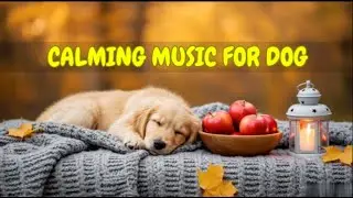 12 HOURS of Dog Music for Home Alone Peace and Sleep 🐾🎶 | Soothe Anxiety and Promote Deep Rest