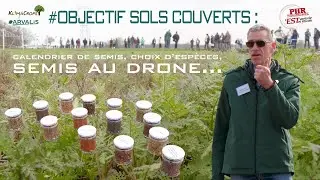 Objectif Sols Couverts (2/5) : Quoi, quand et comment planter entre deux maïs grain en Alsace ?