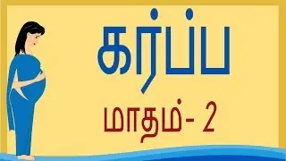 Pregnancy | Tamil | Month 2 | கர்ப்பம் மாதம் 2