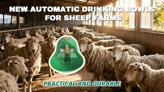 Farm Specific Sheep Water Trough！