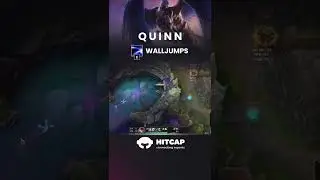 Some tricks to take the best out of your Quinn!