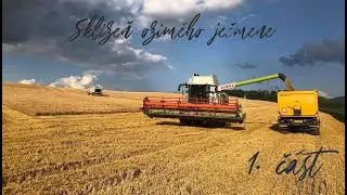 Žně/Harvest 2021 - ZD Dřevohostice - Sklizeň ozimého ječmene - Cab view - 1. část