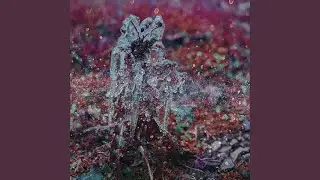 Monarch