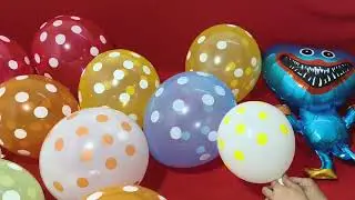 Множество напечатанных воздушных шаров и множество видео с надуванием воздушных шаров Myler &mdash; ASM...