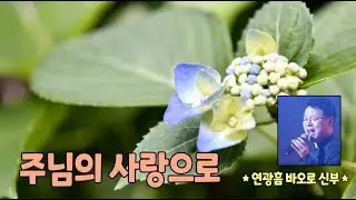 주님의 사랑으로 *연광흠 바오로 신부*