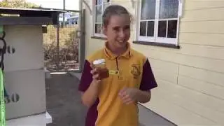 Sustainability at Hermit Park State School