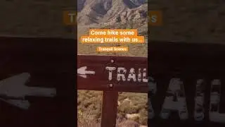 #tranquilscenes #music #peace #guitar #relaxing Come hike with us! 🌳