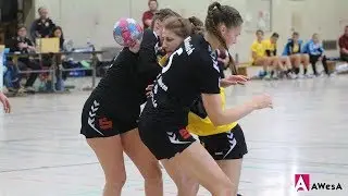 Rohrsen zu stark f&uuml;r ho-handball | ho-handball - MTV Rohrsen 19:29