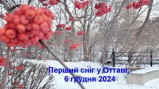 Преший сніг у Оттаві. Справжня зима наступила, грудень все ж таки. Трохи пеперд новорічного міста.