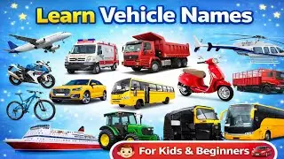Learn Vehicles for Kids 🚗 | Fun Cars & Colors for Children #myfirstvideo 