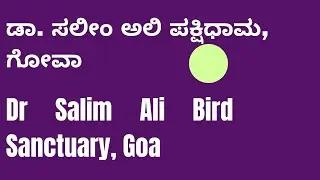 Dr Salim Ali Bird Sanctuary, Goa / ಗೋವಾದ ಡಾ. ಸಲೀಂ ಅಲಿ ಪಕ್ಷಿಧಾಮ