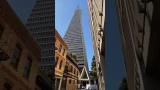 Transamerica Pyramid Building San Francisco #shorts #sanfrancisco #california #transamerica #america