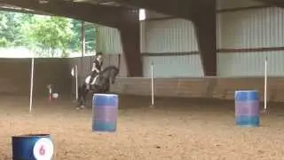Working Equitation - Holcomb Hills 6/7/2015 Lizzanne