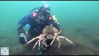 WAPSAC a BSAC Scuba diving Club.#DiveWithBSAC