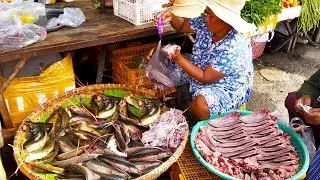 Street Food Tour - Stoeung Meachay And Pipup Thmei Market Food Scenes