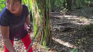 Mira Como doña Maribel Se Rebusca Para Ganarse La Vida!!! SOLA en el Cañal