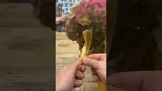 How to wrap a bridal bouquet with ribbon and no pins #diywedding #bouquet #floristry
